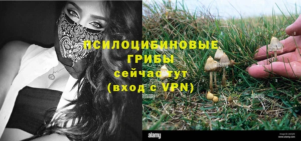 PSILOCYBIN Михайлов