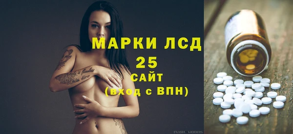 PSILOCYBIN Михайлов