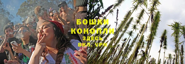 ПСИЛОЦИБИНОВЫЕ ГРИБЫ Михайловка