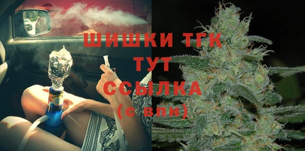 индика Навашино
