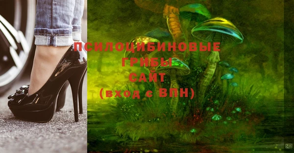 PSILOCYBIN Михайлов