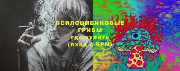 ПСИЛОЦИБИНОВЫЕ ГРИБЫ Михайловка